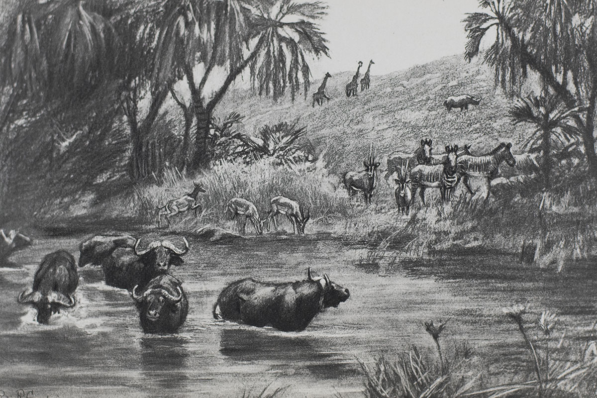 Ranch Life and the Hunting Trail.