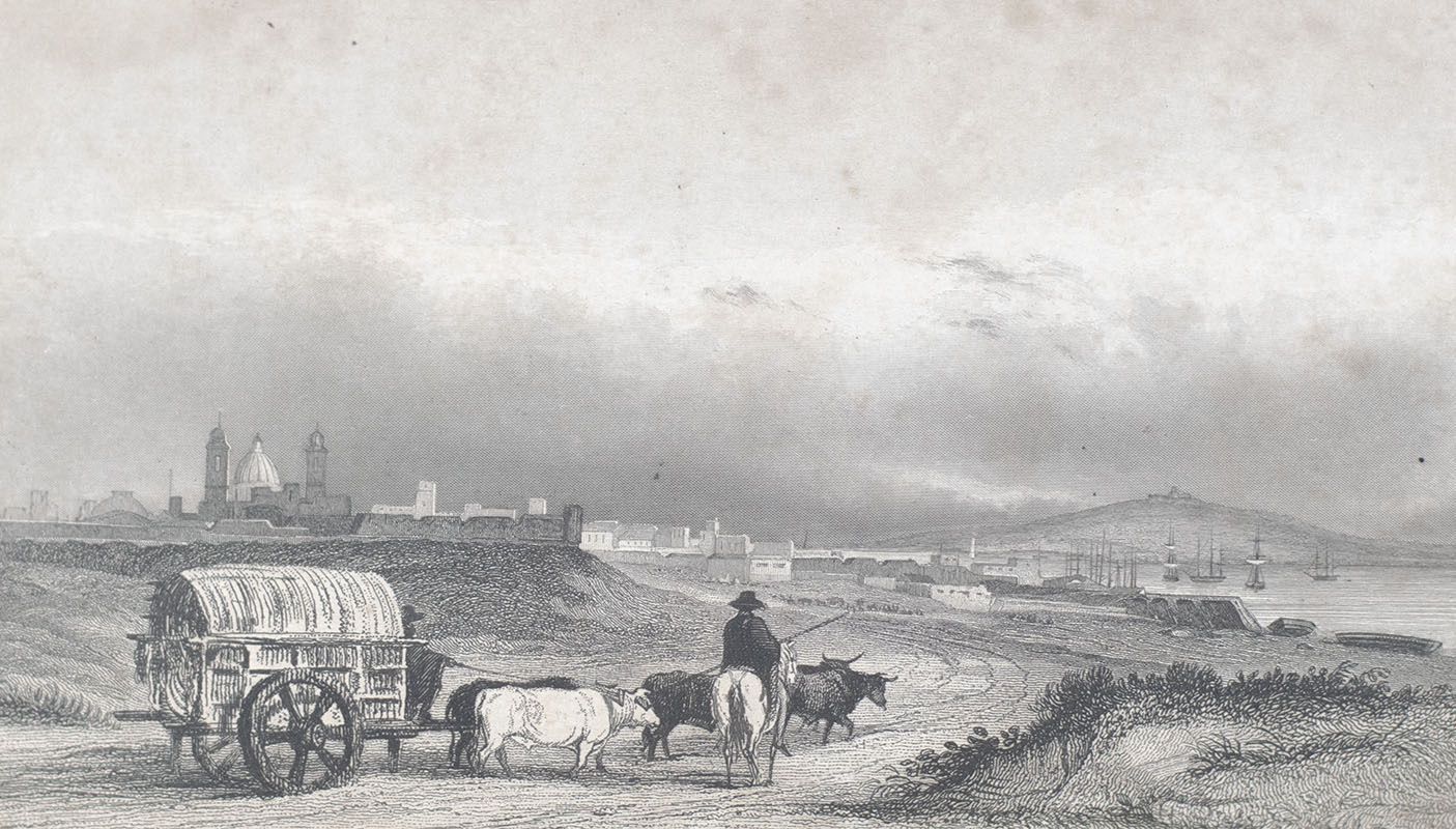 Narrative of the Surveying Voyages of His Majesty's Ships Adventure and Beagle, Between the Years 1826 and 1836, Describing Their Examination of the Southern Shores of South America, and the Beagle's Circumnavigation of the Globe.