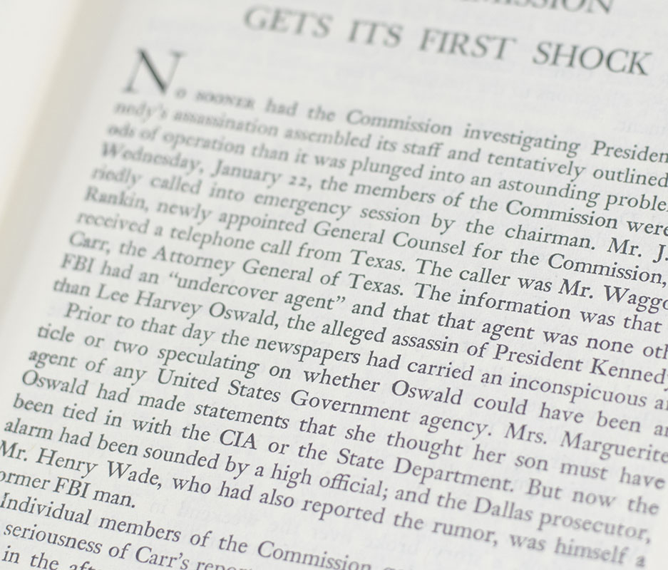 Portrait of an Assassin.