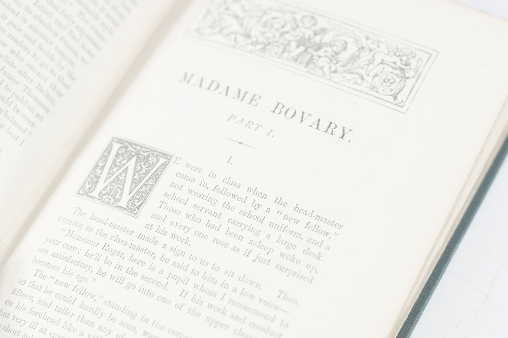 Madame Bovary: Provincial Manners.