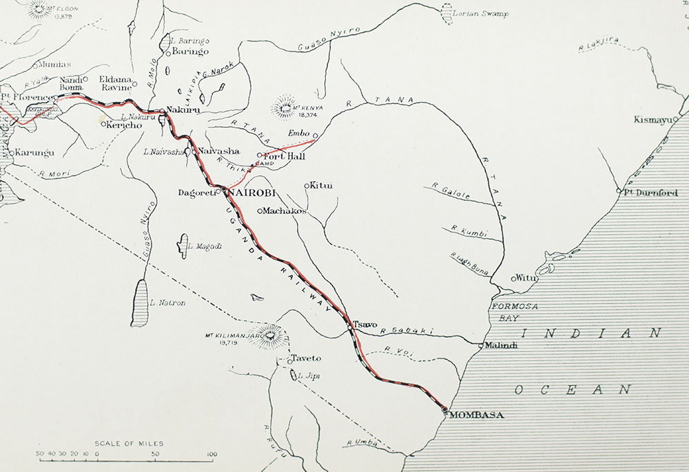 My African Journey.