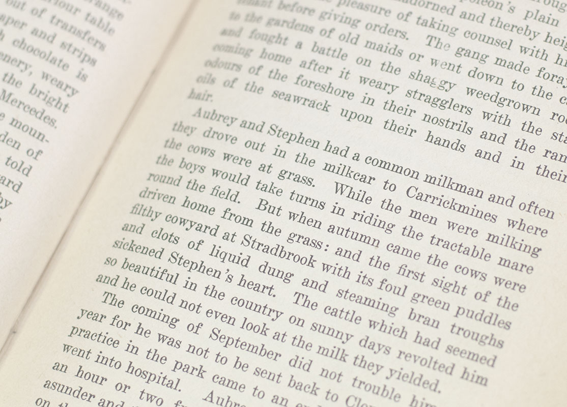 A Portrait of the Artist as a Young Man.