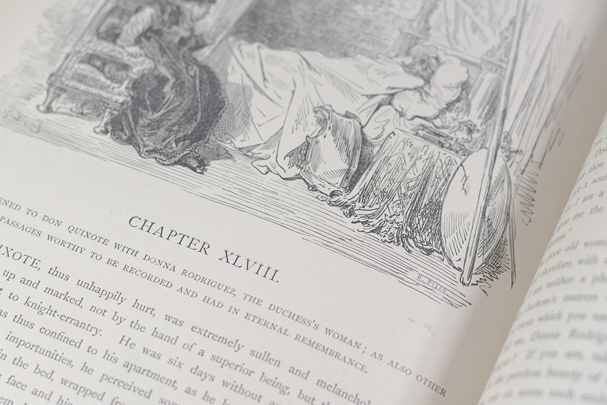 The History of Don Quixote by Cervantes.