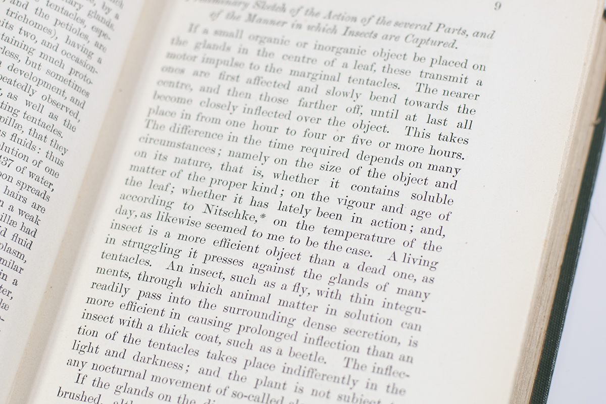 Insectivorous Plants.