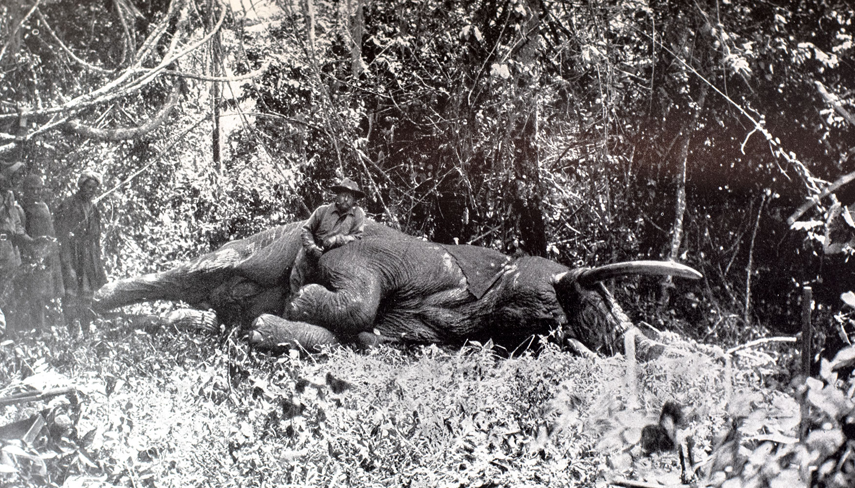 African Game Trails. An Account of the African Wanderings of an American Hunter-Naturalist.