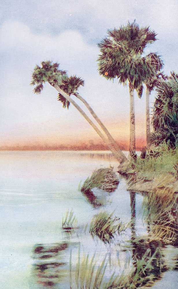 Florida: Land of Enchantment.