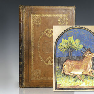 Illuminated Astrological Sign Symbol Painting Collection.