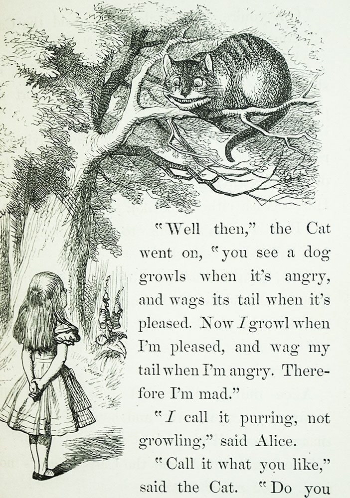 Alice's Adventures In Wonderland.