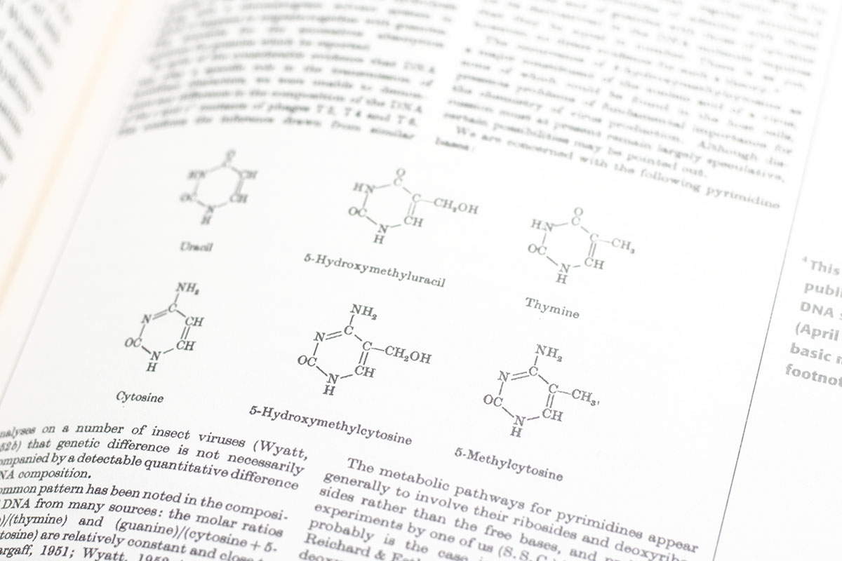 The Annotated and Illustrated Double Helix