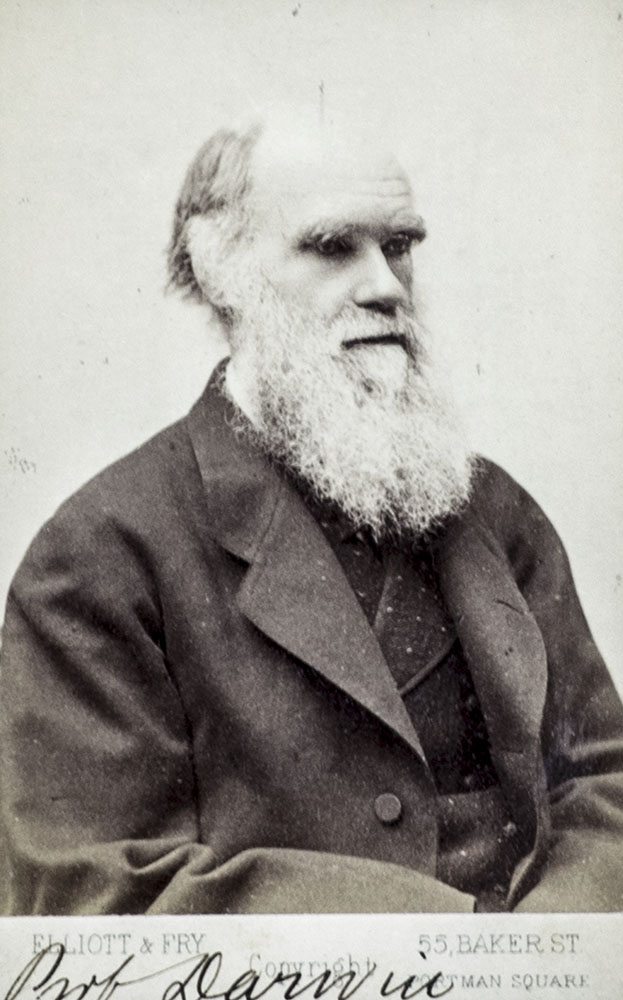 Charles Darwin Autographed Note Signed.