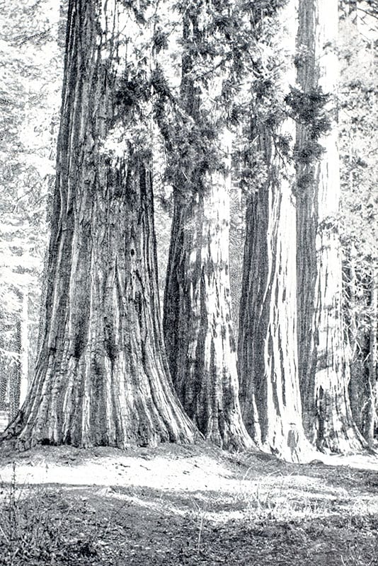 Our National Parks