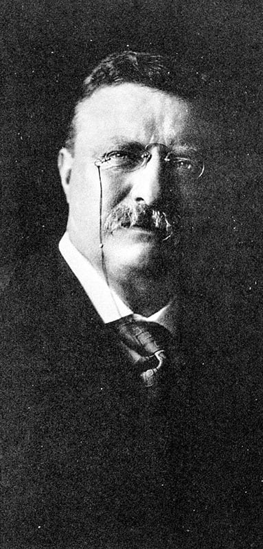 The Rise of Theodore Roosevelt, Theodore Rex, Colonel Roosevelt