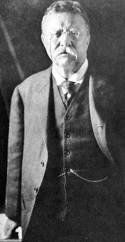 The Rise of Theodore Roosevelt, Theodore Rex, Colonel Roosevelt