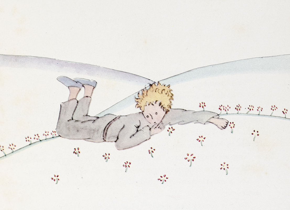 The Little Prince