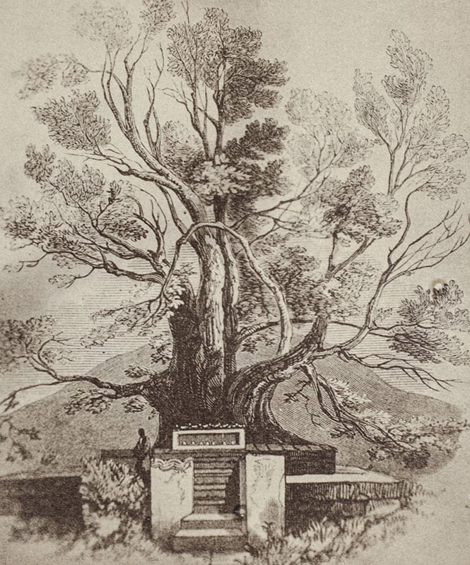 Memoir on the History of The Tooth-Relic of Ceylon: With a Preliminary Essay on the Life and System of Gautama Buddha