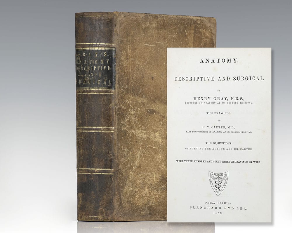 Anatomy, Descriptive and Surgical (Gray’s Anatomy).