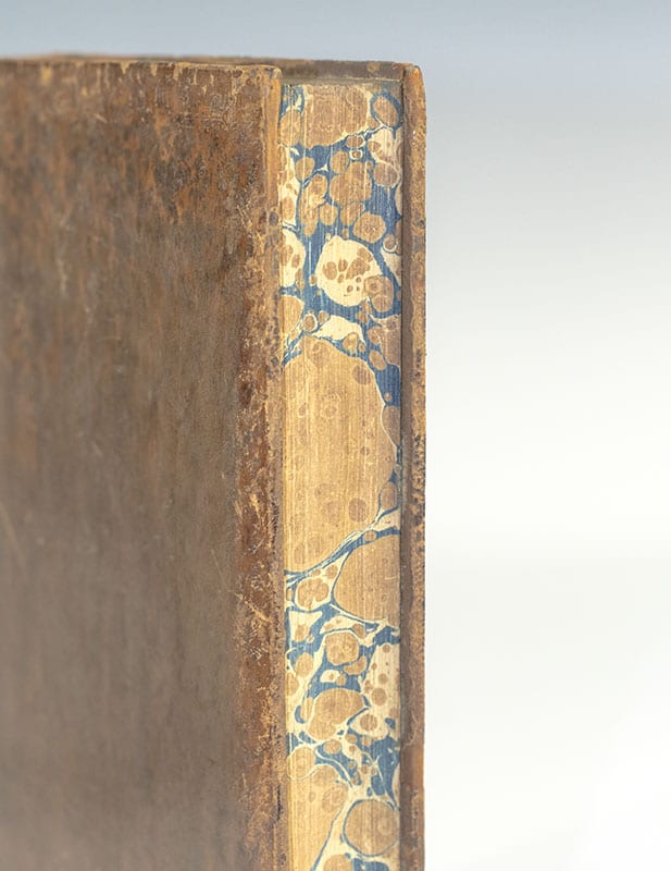 Democracy in America