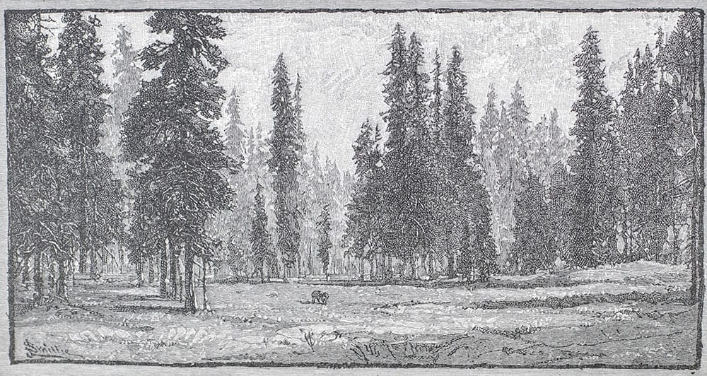 The Mountains of California