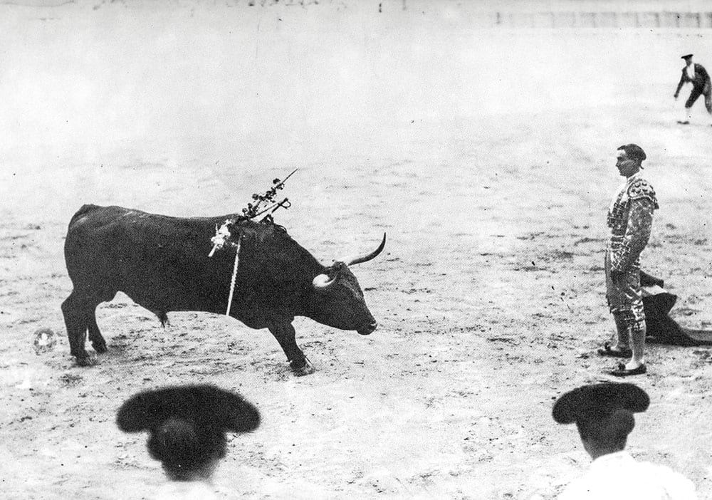 Death in the Afternoon