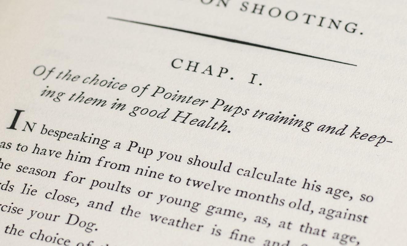 The Sportsman's Companion, or, An Essay on Shooting