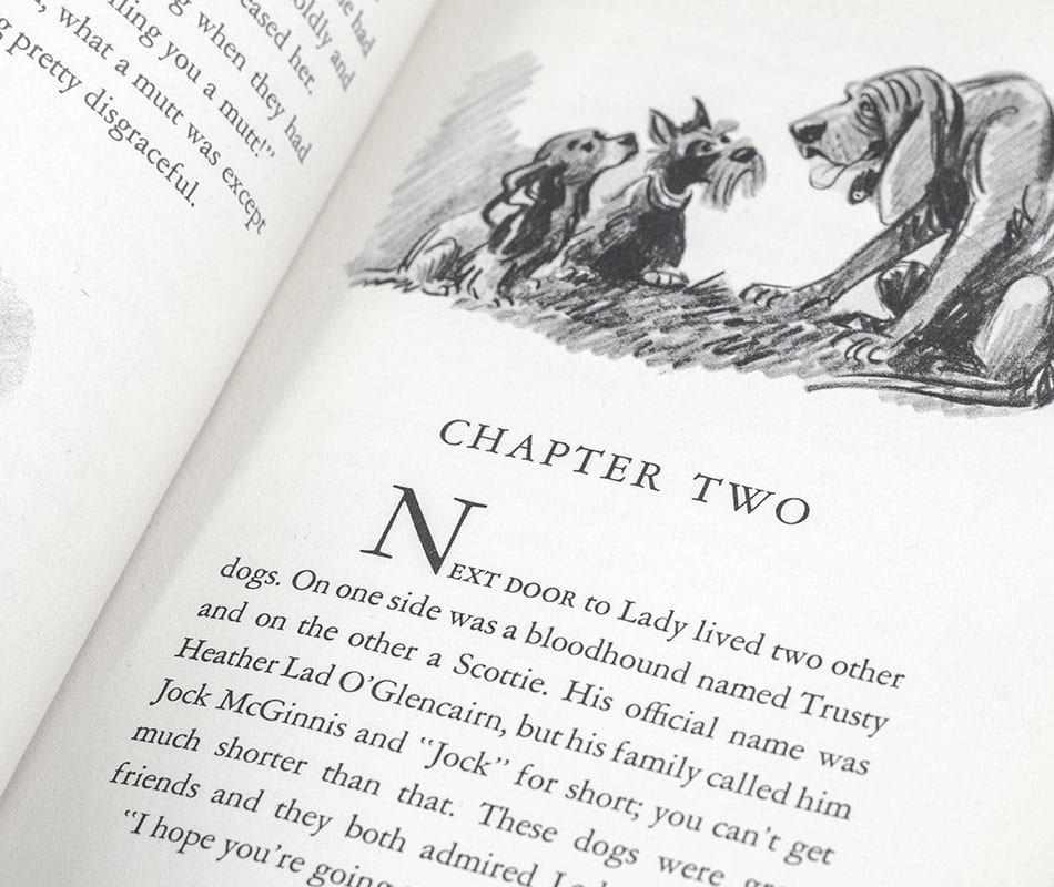 Lady and the Tramp: The Story of Two Dogs