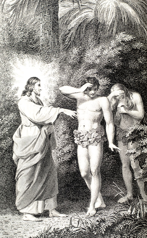 Paradise Lost: with The Life of the Author and A Critical Dissertation on the Poetical Works of Milton by Samuel Johnson