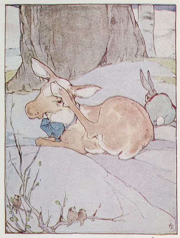 Baby Reindeer and Silver Fox