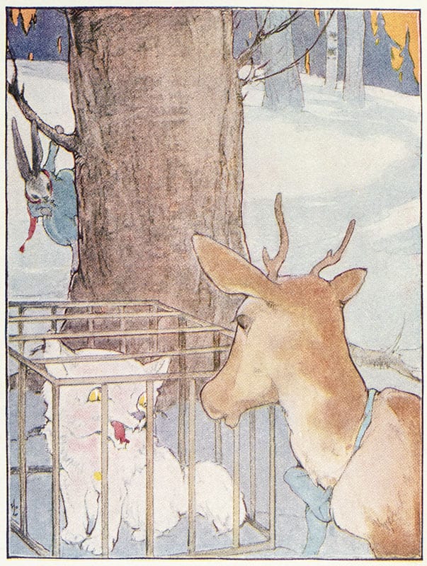 Baby Reindeer and Silver Fox