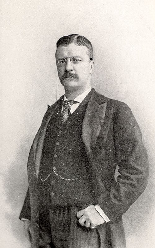 The Works of Theodore Roosevelt