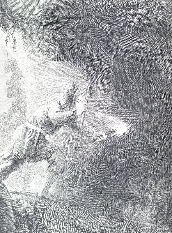 The Life and Adventures of Robinson Crusoe