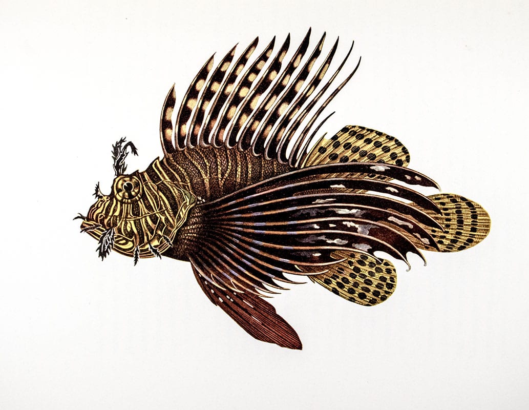 West Made East With The Loss Of A Day: A Chronicle of the First Circumnavigation of the Globe under the United States Naval Reserve Yacht Pennant