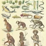 Science and Natural History