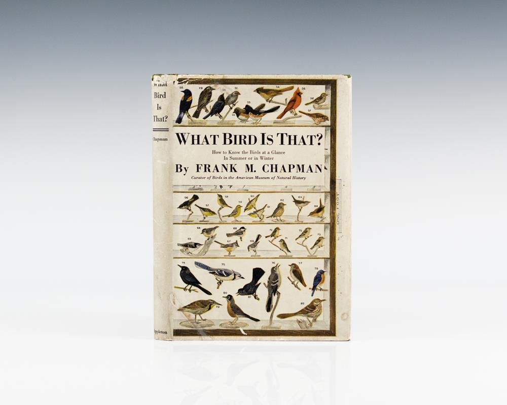 What Bird Is That?