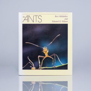 The Ants