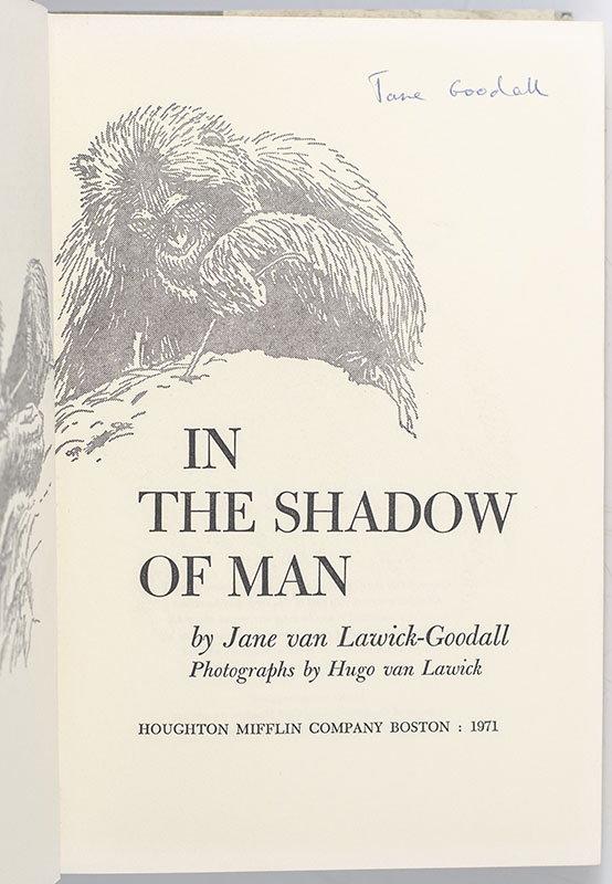 In the Shadow of Man.