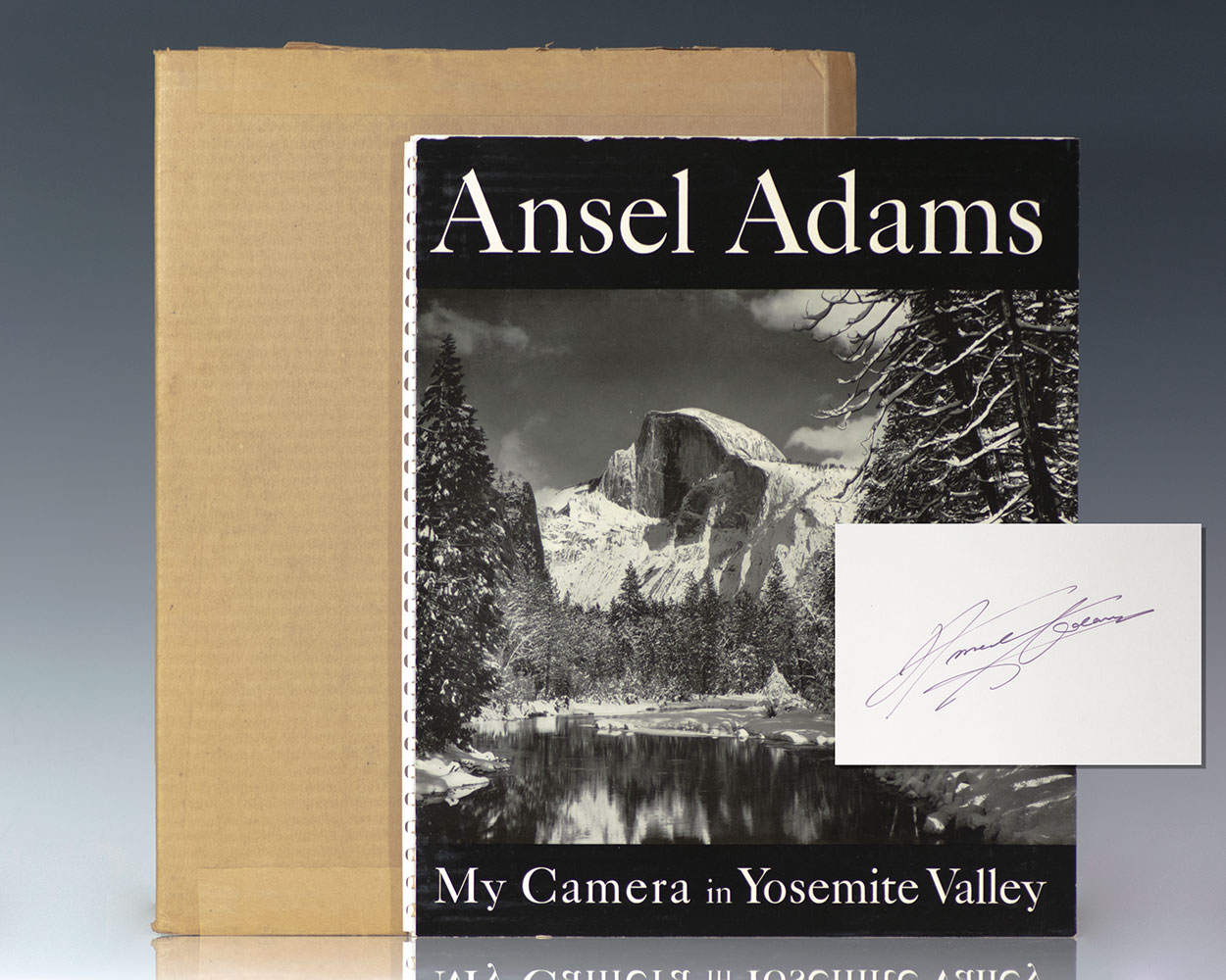 My Camera in Yosemite Valley.