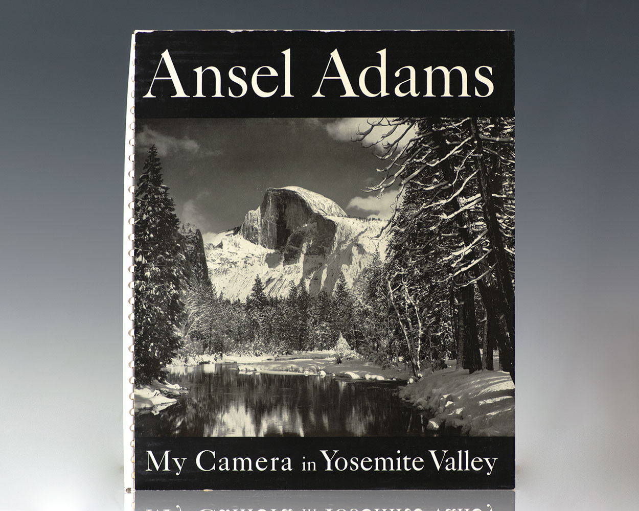 My Camera in Yosemite Valley.