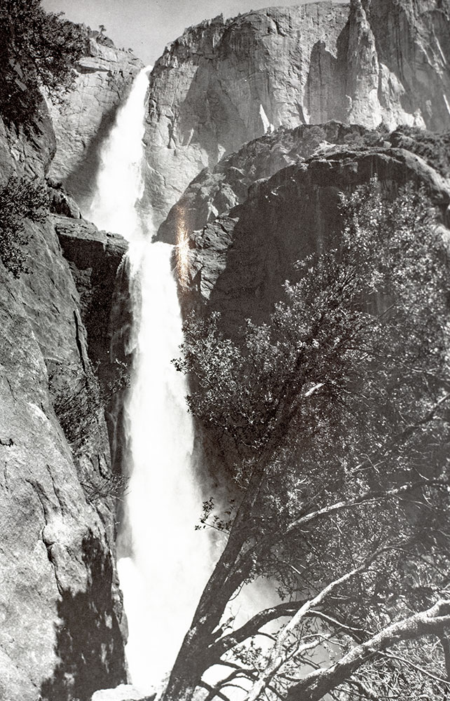 My Camera in Yosemite Valley.