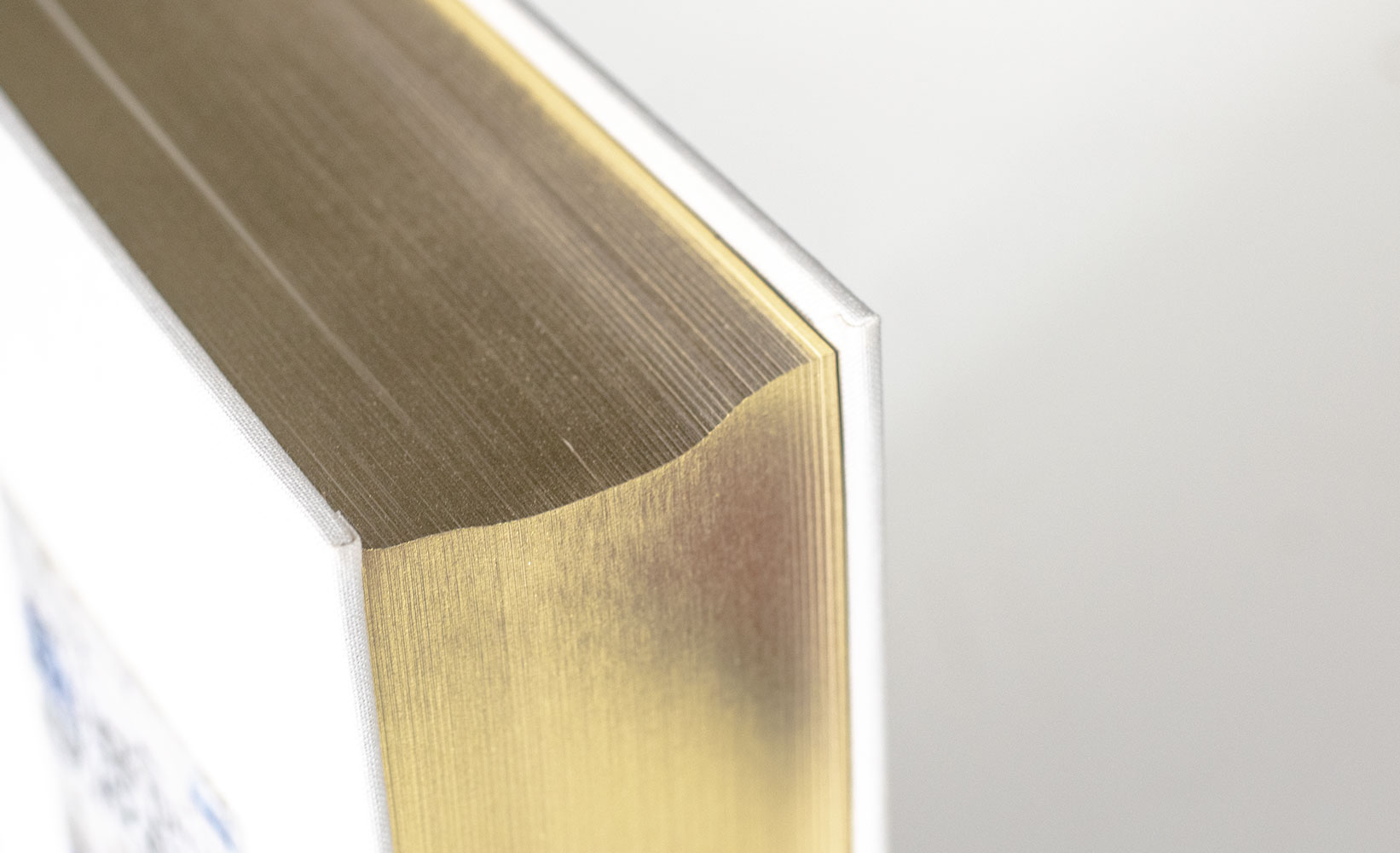 The David Foster Wallace Reader. - Image 3