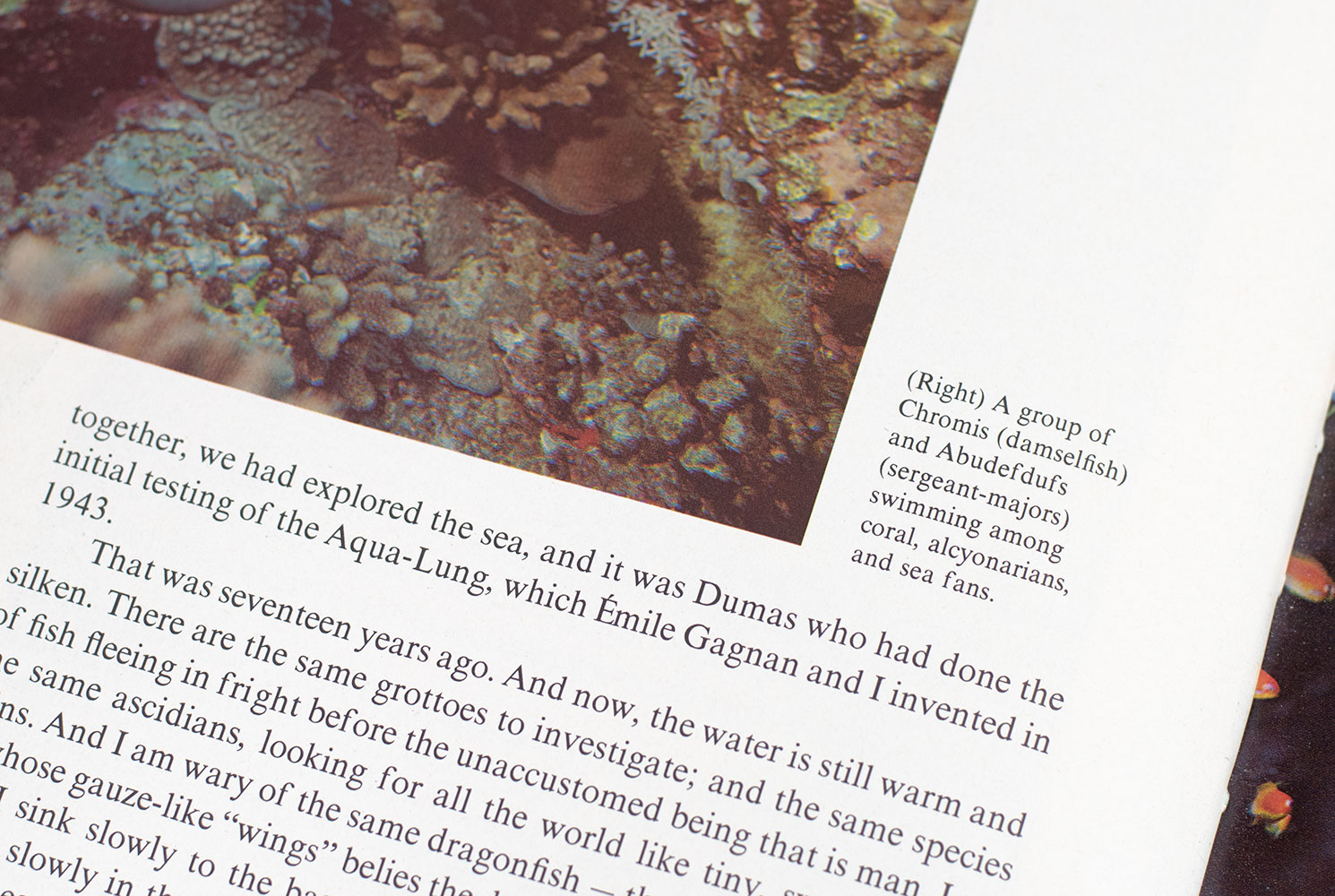 Life and Death in a Coral Sea.