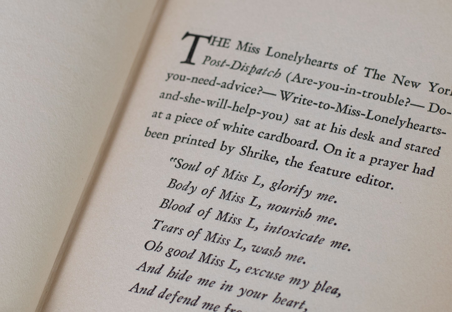 Miss Lonelyhearts. - Image 5
