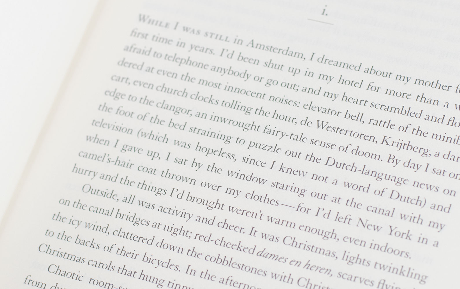 The Goldfinch. - Image 4