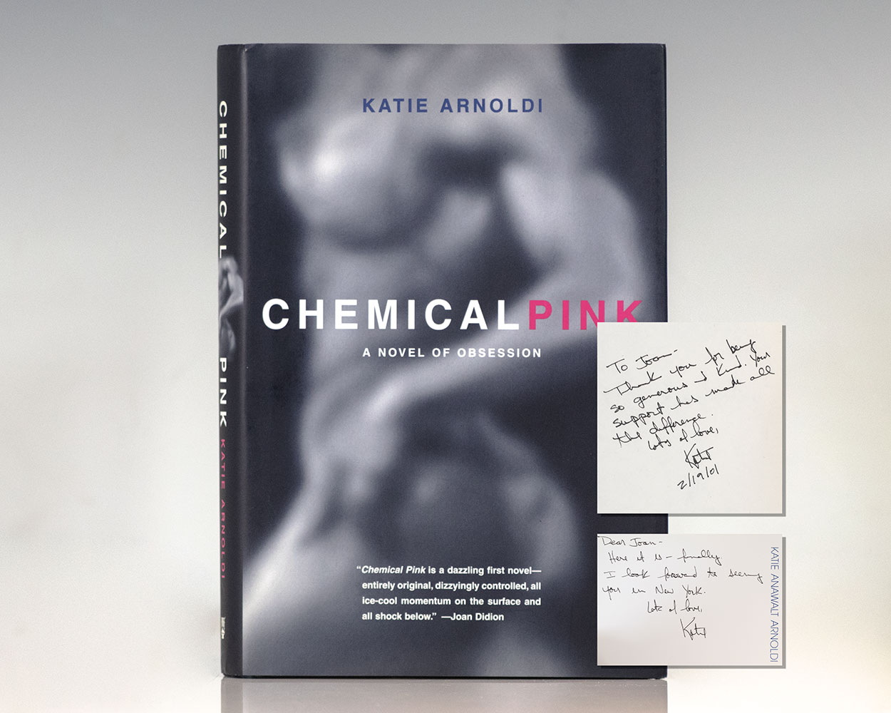 Chemical Pink: A Novel of Obsession.