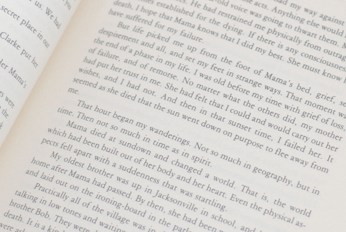 I Love Myself When I Am Laughing: A Zora Neale Hurston Reader. - Image 4