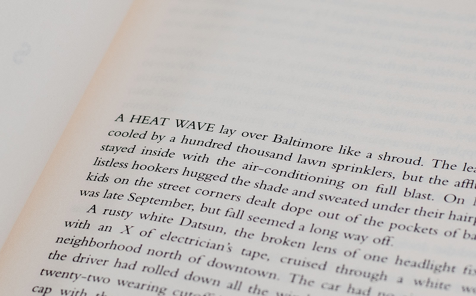 The Third Twin: A Novel.