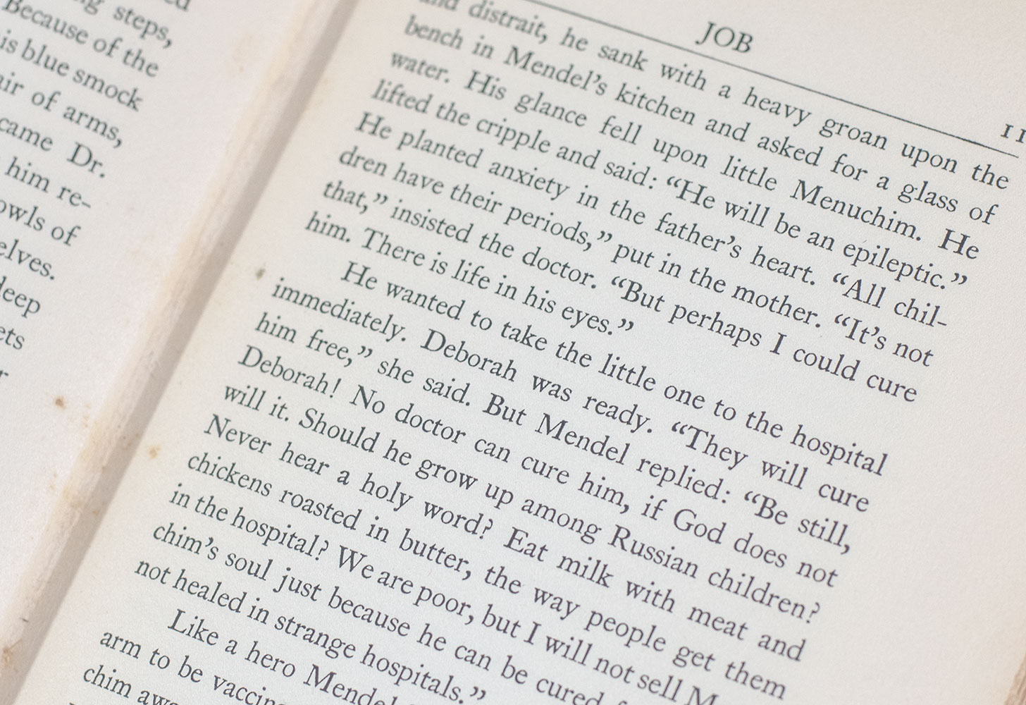 Job: The Story of a Simple Man. - Image 5