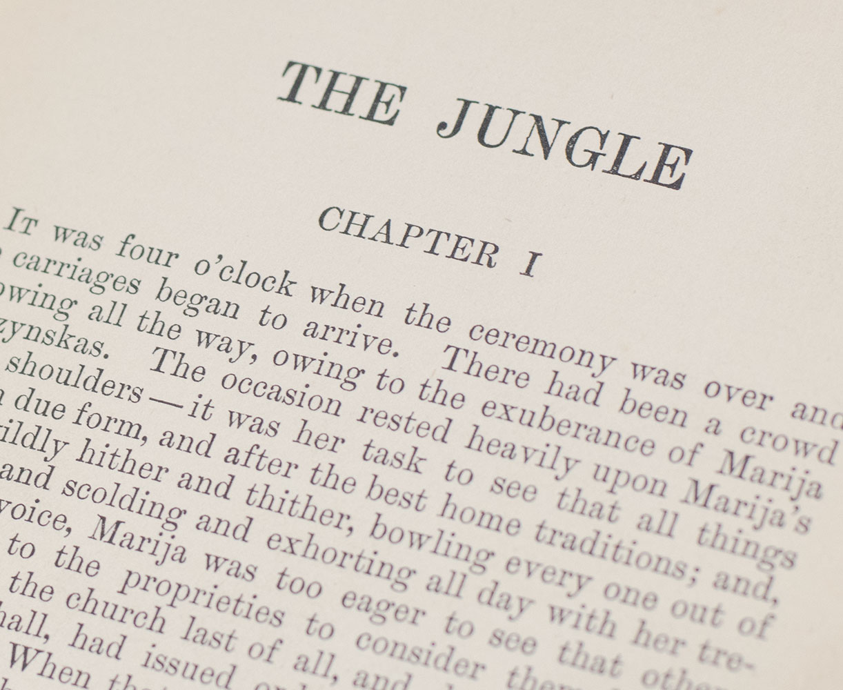 The Jungle. - Image 5