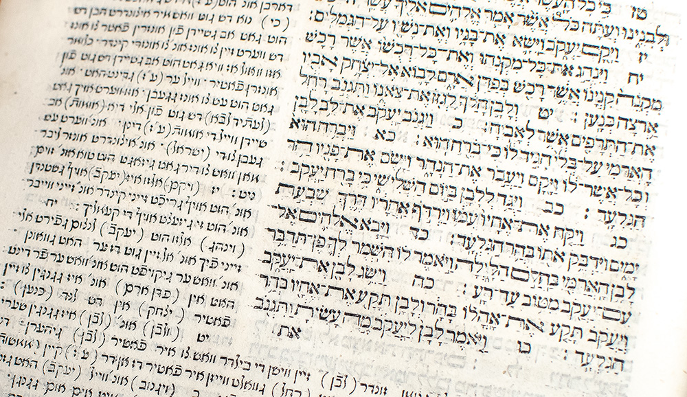 The Torah: Pentateuch, Five Megillot, and Haftorot.