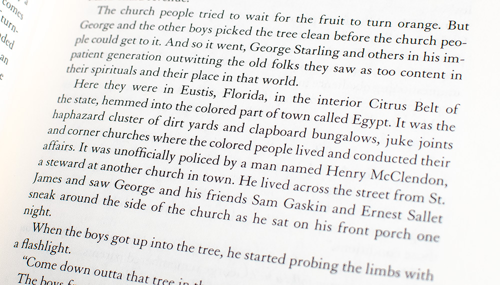 The Warmth of Other Suns: The Epic Story of America's First Great Migration.