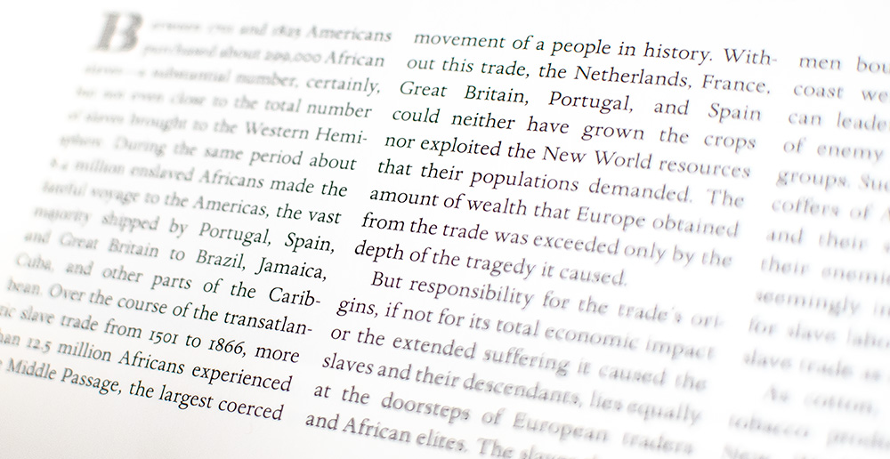Life Upon These Shores: Looking at African American History 1513-2008.